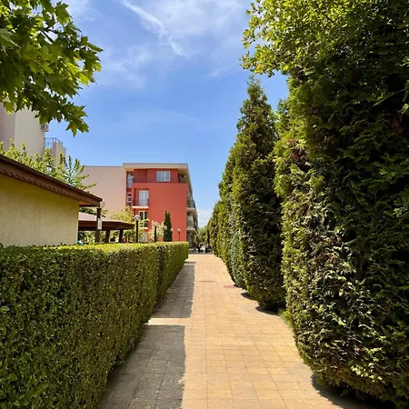 Quiet With A View! *